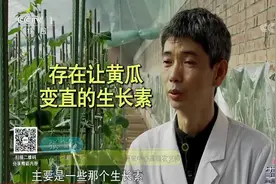 生活圈：让弯黄瓜变直，打生长素就可以，食用后会带来哪些危害？视频封面