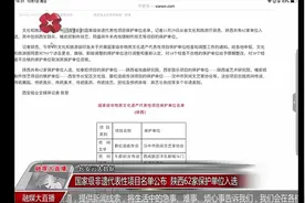 国家级非遗代表性项目名单公布：陕西62家保护单位入选视频封面