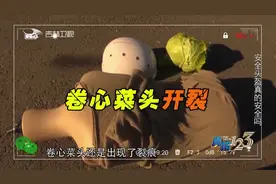 真相123：安全头盔真有保护作用？一组对比实验揭秘答案，来看看视频封面