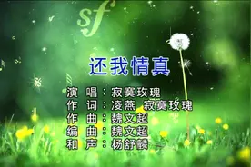 2020新歌推荐 寂寞玫瑰《还我情真》思绪忆起百味人生视频封面