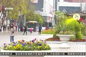 云南全面放开城镇地区户口迁移政策 取消昆明主城区落户限制视频封面