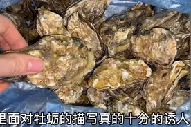 舌尖上的乳山牡蛎之乡！想到了《我的叔叔于勒》里吃牡蛎的片段！视频封面