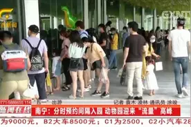 南宁动物园迎来五一客流高峰，大熊猫惊喜亮相，每批仅限50人进入视频封面