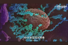 电子显微镜下一睹各种病毒的真实面目，真实触目惊心视频封面