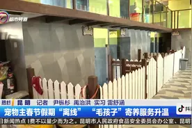 宠物主春节假期“离线”“毛孩子”寄养服务升温视频封面