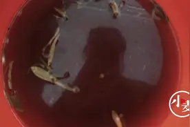 商丘一小区自来水浑浊发黑，居民：冲厕所都嫌脏视频封面