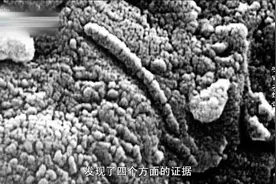 南极发现一颗迄今为止最有价值的陨石！可证实火星曾经存在生命！视频封面