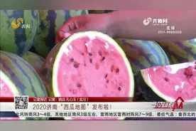 吃瓜群众有福利！济南“西瓜地图”新鲜出炉，沙瓤西瓜脆甜水分大视频封面