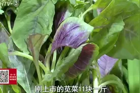 3月5日惊蛰！ 河蚌、螺蛳最肥时视频封面