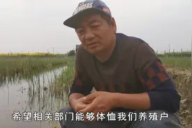 蝌蚪出来了不敢喂食，黑斑蛙还能不能养，农民养殖户心里急