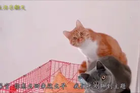 你怎么回来这么早  我们俩才刚聊到主题