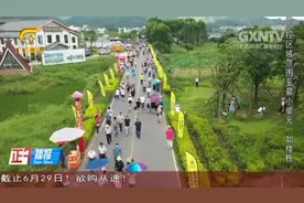 贵港：“荷美覃塘，产业新城”第七届荷花节开幕，市民们不要错过