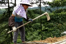 大山里的80后，从八岁就要洗衣服，挑水，干农活，一个苦逼的年代
