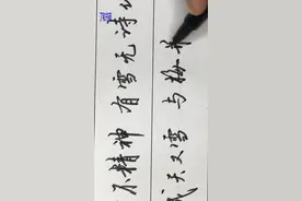 梅雪争春未肯降 雪梅 七言绝句 古诗词实用硬笔行书 非常漂亮视频封面