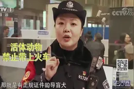 生活圈：乘坐火车，这些东西禁止携带！民警一一讲解，出行时必看视频封面