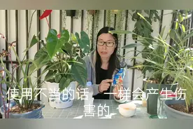 养花施肥不用愁，淘米水里加“2宝”，肥效翻倍，叶子翠绿油亮视频封面