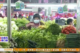 网传这几种蔬菜都是“甲醛菜”？专家现场检测，结果却让人没想到视频封面