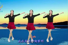 DJ广场舞《真的好想你》句句寄满对你的思念优美动听醉人心视频封面