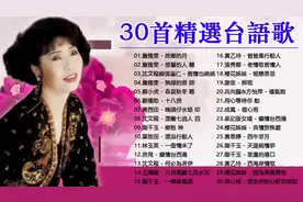 30首精选【台语歌】，《故乡的月》《何必为着伊》《伤心雨》等
