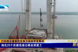 加速了！湖北25个在建高速公路全部复工视频封面