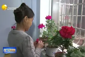 辽宁省早期棚改小区维修改造工程全部完工视频封面
