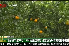 四川省将有十天的雾霾天气，种植农作物都需要注意哪些方面？视频封面