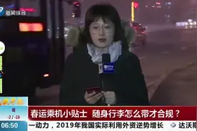 春运乘飞机出行，随身行李应该怎么带？一起看看都有哪些注意事项视频封面