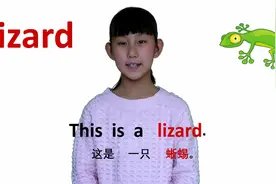 动物篇lizard蜥蜴 牛津初高中小学少儿童英语单词和例句子 常荣视频封面