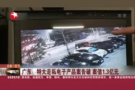 广东特大走私电子产品案告破，查获264箱电子产品，案值1.3亿元视频封面