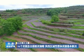 56个贫困县全部脱贫摘帽 陕西区域性整体贫困基本解决视频封面