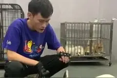 狗狗为什么会变得咬主人?人为还是环境？视频封面