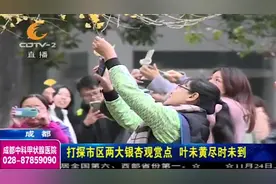 蓝天+白云+朝霞！成都天气“美到爆”，市民：很美！