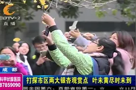 蓝天+白云+朝霞！成都天气“美到爆”，市民：很美！视频封面
