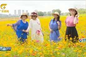 休闲好去处！南宁灵龟山滨江公园百亩百日草盛放，市民闻香而来