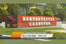 总投资20亿元！长沙望城区一批重大项目开工，两个总部基地落户视频封面