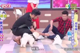 高以翔受毛加恩的影响养宠物，现场和狗狗表演吃狗粮，狗狗好听话视频封面
