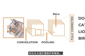 什么是卷积神经网络？深度学习第五讲视频封面