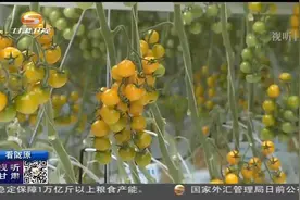 民乐：发展智能农业  打造农业生产新业态视频封面