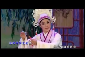 146.《执子之手与子偕老》_林燕云、张怡凰 -潮剧视频封面