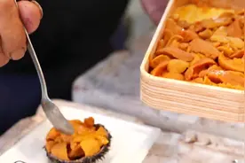 日本街头小吃-大阪海鲜巨头扇贝，牡蛎，海胆。日本海鲜！视频封面