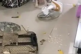 二哈拆家视频大合集视频封面