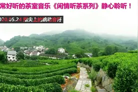 非常好听的茶室音乐《闲情听茶系列》静心聆听！视频封面