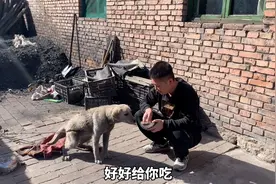 肉娃养了5个月的流浪狗送人了，临走时候妈妈依依不舍