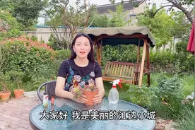 养花遇到蚧壳虫怎么办，教你几招解除虫害，花卉重现健康视频封面