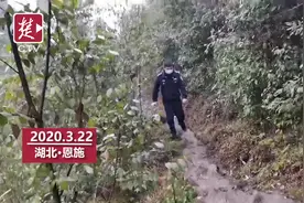 七旬老妪采药迷失深山5天 ，利川警民跋山涉水搜寻6小时找回视频封面