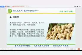如何科学选择优秀花生品种？福达花生讲堂
