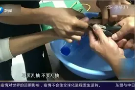 一枚戒指就能开酒瓶？盲目跟风要不得！听听消防员怎么说