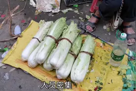 腊月二十九南宁至容县。妈妈不带口罩在集市卖青菜？赶紧接回家视频封面