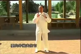 明师难遇：中医名家武国忠站桩教学_标清视频封面
