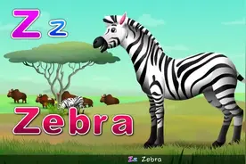 英文儿歌童谣：Alphabet Animals（字母动物）视频封面